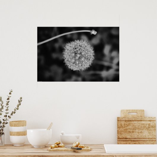 Poster Dandelion - Noir, (Cuisine)