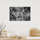 Poster Dandelion - noir, (Cuisine)