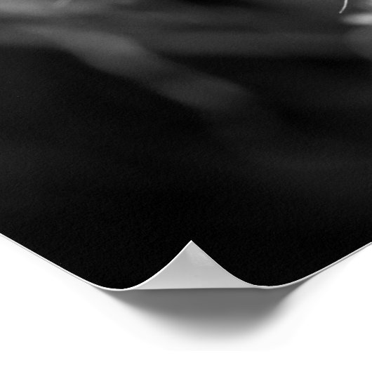 Poster Dandelion noir et blanc (Coin)