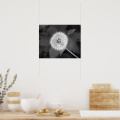 Poster Dandelion noir et blanc devant Feuille 16x20 (Cuisine)