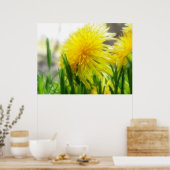 Poster Dandelion Portrait (Cuisine)
