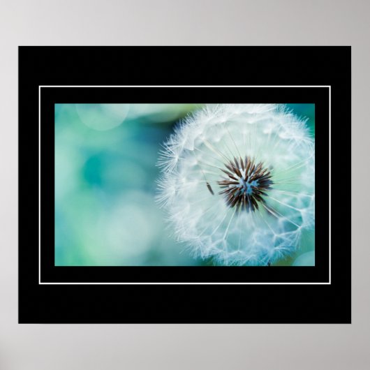 Poster-Dandelion Poster (Voorkant)