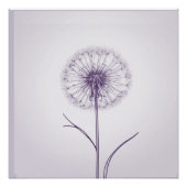 Poster Dandelion pourpre (Devant)