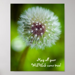Poster Dandelion "Que tous vos voeux se réalisent !" Post