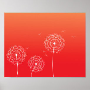 Poster Dandelion rouge coucher de soleil au printemps