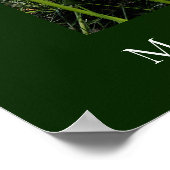 Poster Dandelion souffler rêve Botanique (Coin)