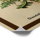 Poster Dandelion Sur Vieux Papier (Coin)