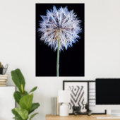 Poster Dandelion (Taraxacum Officinale) (Bureau à domicile)