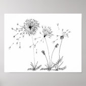 Poster Dandelions (Devant)