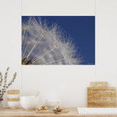 Poster Dandelions (Cuisine)