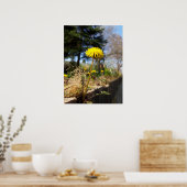 Poster Dandelions au soleil (Cuisine)