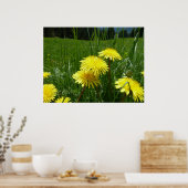 Poster Dandelions de montagne (Cuisine)