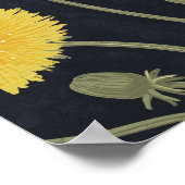 Poster Dandelions, vert, jaune et noir (Coin)