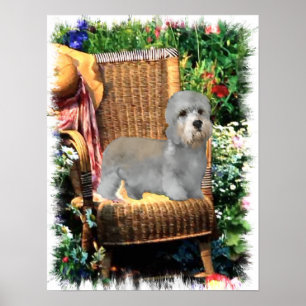 Poster Dandie Dinmont Terrier Imprimer