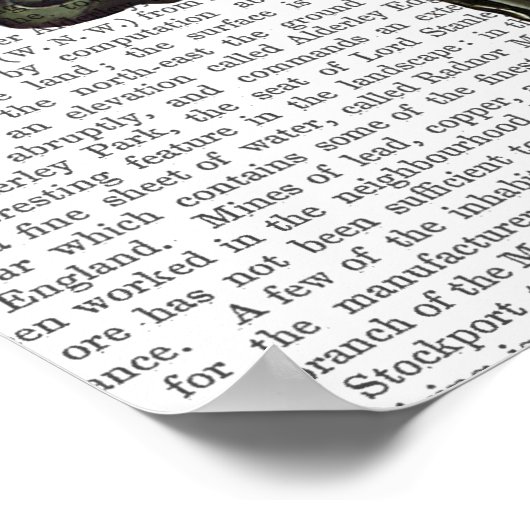 Poster Dandy Fox Full (Coin)