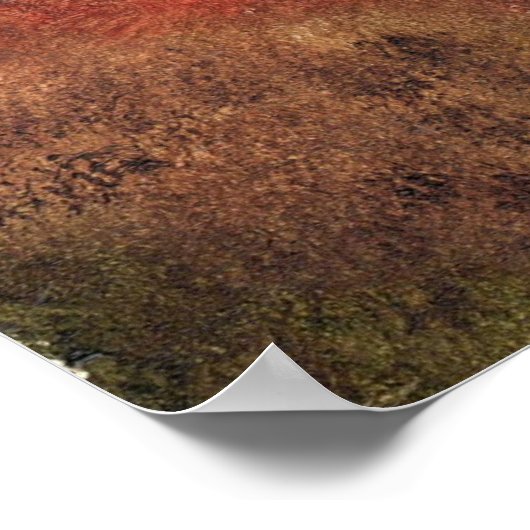 Poster Dandy Lion (Coin)