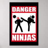 Poster Danger Ninjas (Devant)