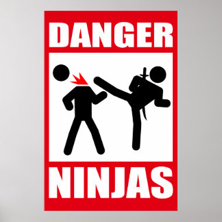 Poster Danger Ninjas