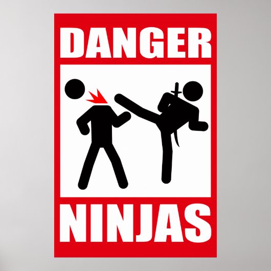 Poster Danger Ninjas (Devant)