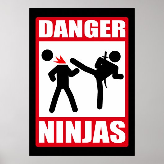Poster Danger Ninjas (Devant)