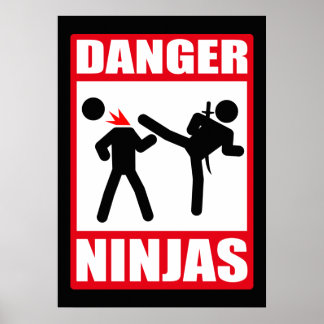 Poster Danger Ninjas