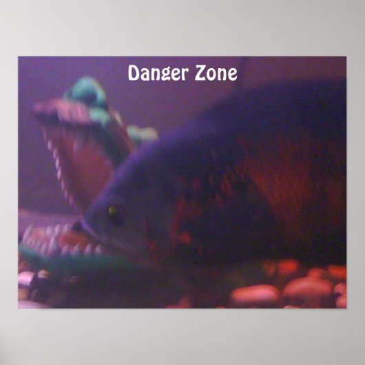 Poster Danger Zone (Devant)