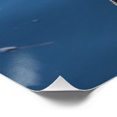 Poster d'Anhinga Bird (Coin)