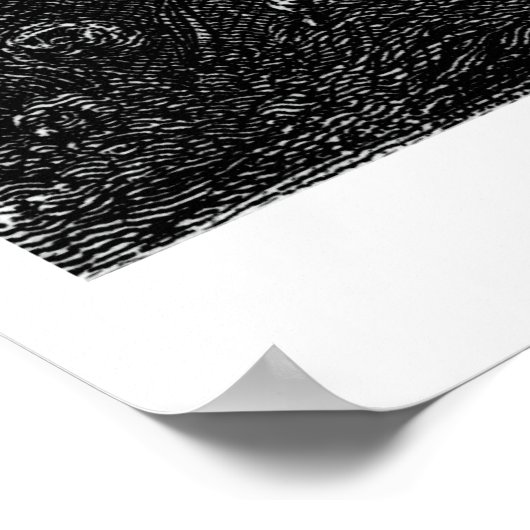 Poster Daniel Boone (Coin)