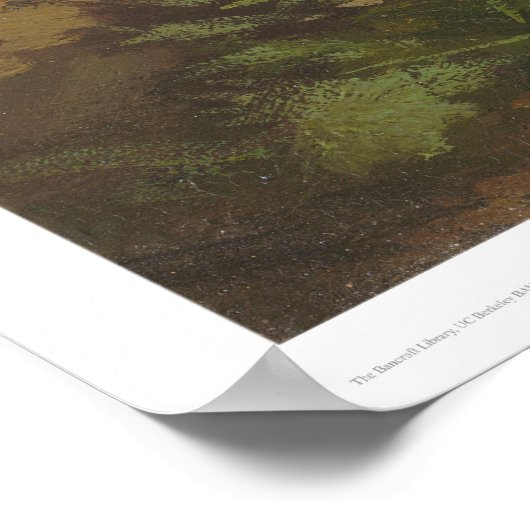 Poster Daniel Boone (1251) (Coin)