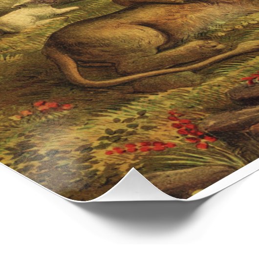 Poster Daniel dans le Den des Lions (Coin)