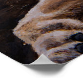 Poster Daniel dans le Den du Lion (Coin)