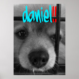poster_daniel! poster