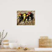 Poster Danni la sirène et l'affiche des pirates (Cuisine)