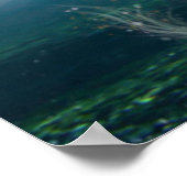 Poster Danni l'affiche de la sirène (Coin)