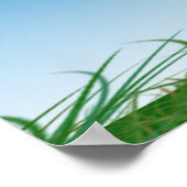 Poster d'anniversaire de Green Tractor (Coin)