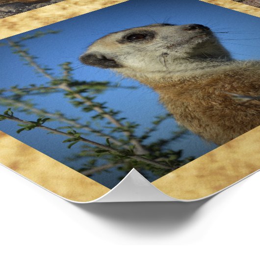 Poster d'anniversaire heureux (Coin)