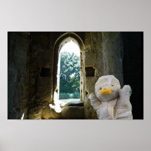 Poster Danny Duck la Momie (Devant)