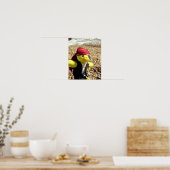 Poster Danny Duck le Pirate (Cuisine)