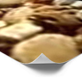 Poster Danny Duck le pirate (Coin)