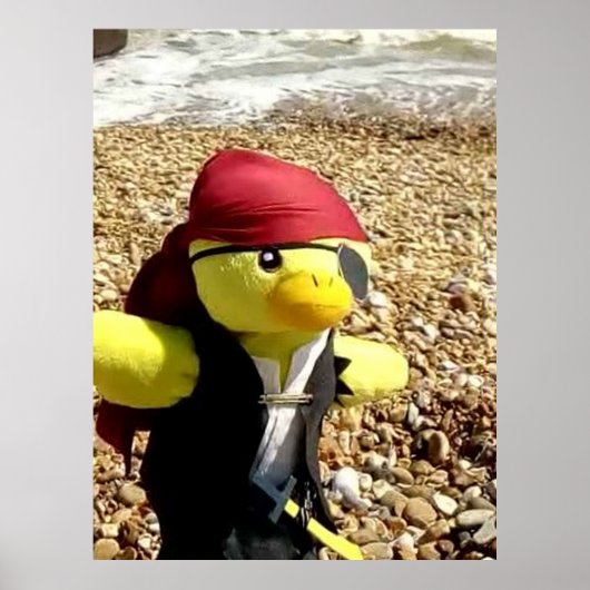 Poster Danny Duck le pirate (Devant)