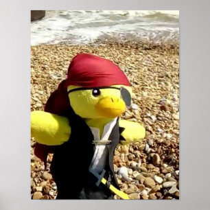 Poster Danny Duck le Pirate