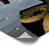 Poster Danny Duck le Pirate. (Coin)