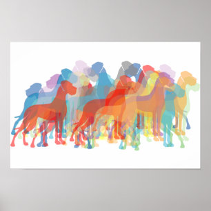 Poster Danois coloré
