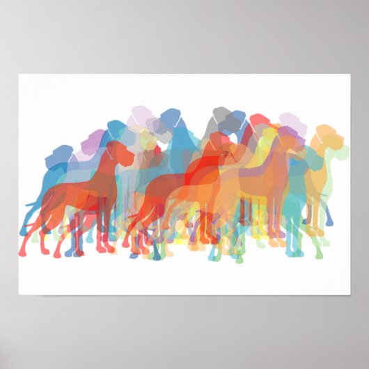 Poster Danois coloré (Devant)