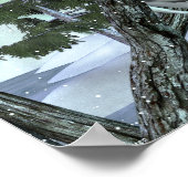 Poster Dans La Chouette Sauvage (Coin)