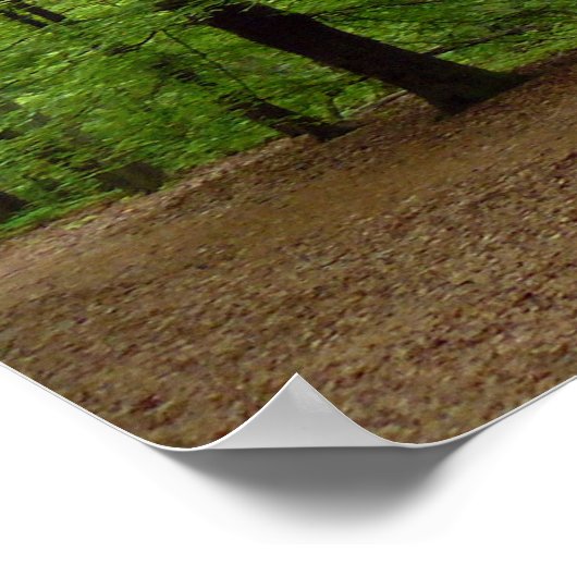 Poster Dans la forêt (Coin)