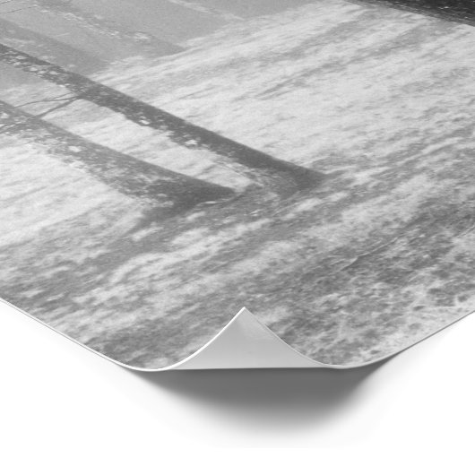 Poster Dans la forêt je vais ... Trouver mon âme (Coin)