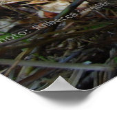 Poster Dans la forêt pour l'école d'Orangoutan (Coin)