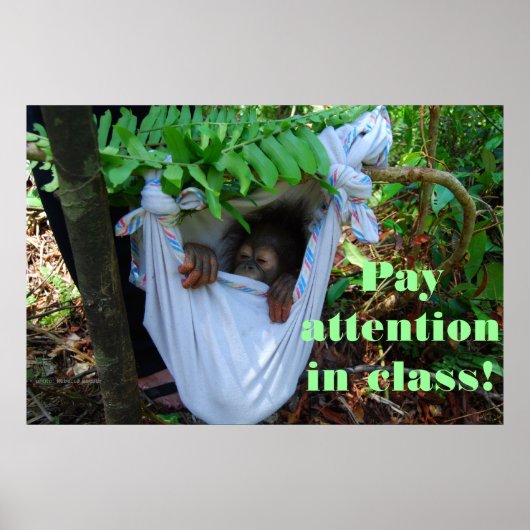 Poster Dans la forêt pour l'école d'Orangoutan (Devant)