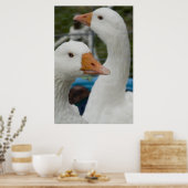 Poster Dans la grange de Fowl (Cuisine)